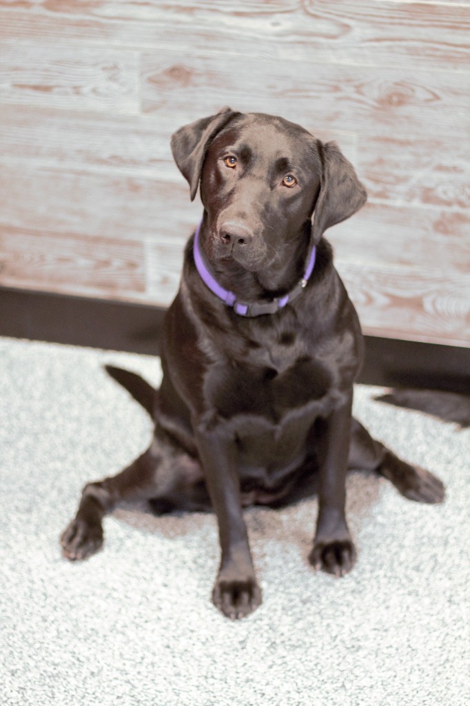 Zoey - Professional Greeter